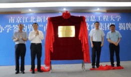 南关区最新爆料信息公布,揭秘区域发展新动态与亮点